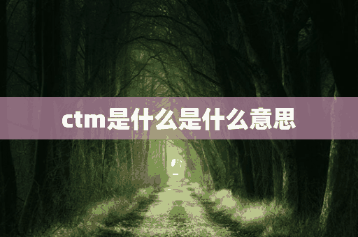 ctm是什么是什么意思